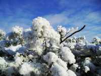 красивое фото...
