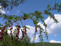 красивое фото-2