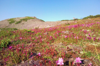 перед закатом