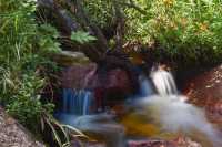 В тенистой прохладе