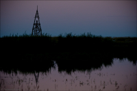 ..перед темнотой