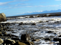 море море...