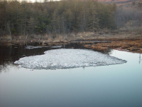 Леденое сердце