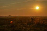 Рассветное....