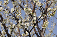 ... а в глубине души весна