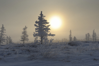 ...холодно зимой