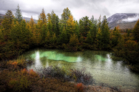 цвЕта моих глаз