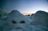 Недовольный ледозавр