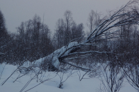 ишь,  как разлегся...