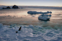 Утреннее поклонение фотобожест