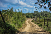 дорога в лето