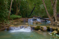 заповедник