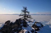 Сила жизни.