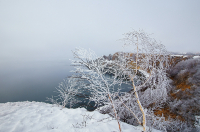 сквозь иней