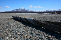 Винт деревянный.