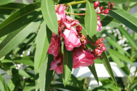 Просто красиво