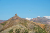 пролетая над короной