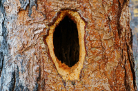 хорошая работа