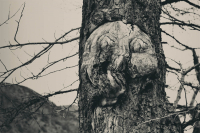 Всевидящее око