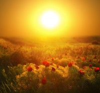 Закат над Лазоревой долиной