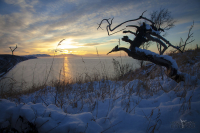 Нюклерассвет