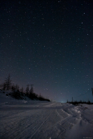 Дорога к звездам