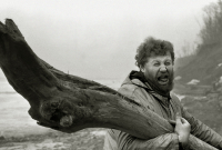 А вот и дровишки!