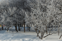 зимний день