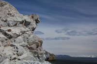 Медвежья башка.