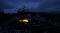 костёр в ночи