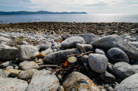 Попить чайку на природе)