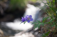 на холодном