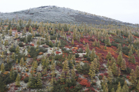 Красоты осени