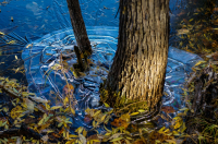 Приморозило