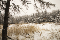 Зимняя сказка Магадана