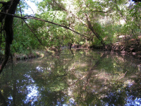 Северный Кавказ_1