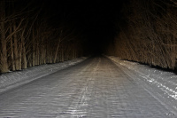 В никуда .....