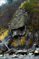 Спящий рыцарь