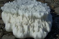 оскалы зимы