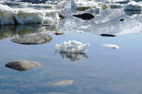 белые кораблики