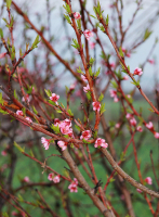 всё повторится