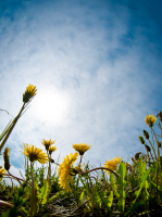 Позитивчик