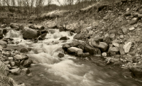 Ручей грохочет,пенится,рычит ...