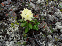 Красоты Колымы