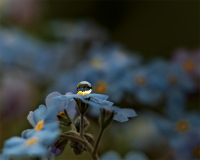 Хрустальный, праздничный наряд...