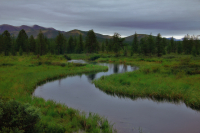 сновидения 2