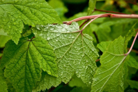 Не такой как все.