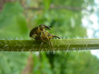 love is all around me