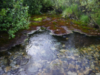 ...и пошёл дождь...