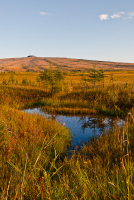 Вот и снова осень ...